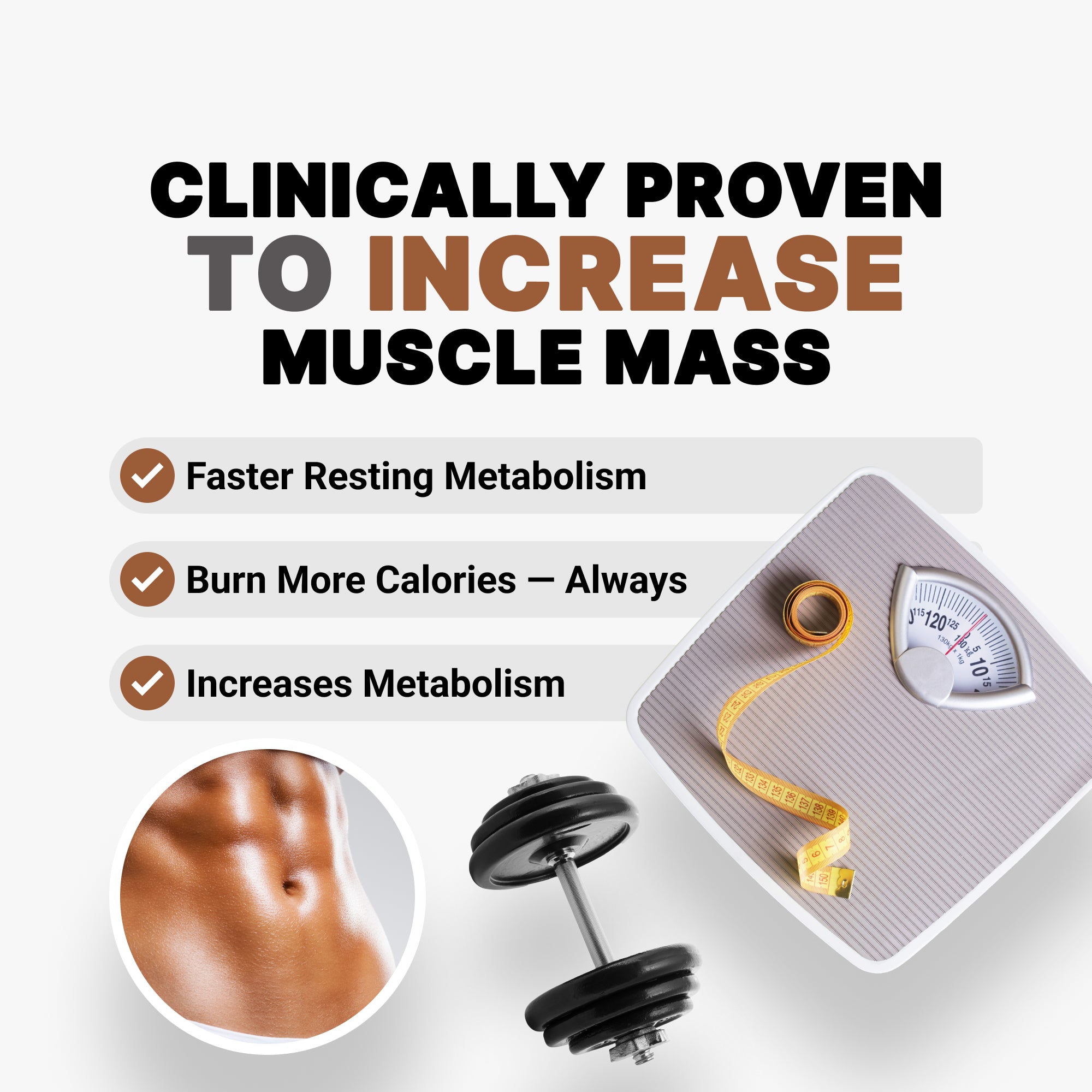 Daily Creatine Monohydrate Formula