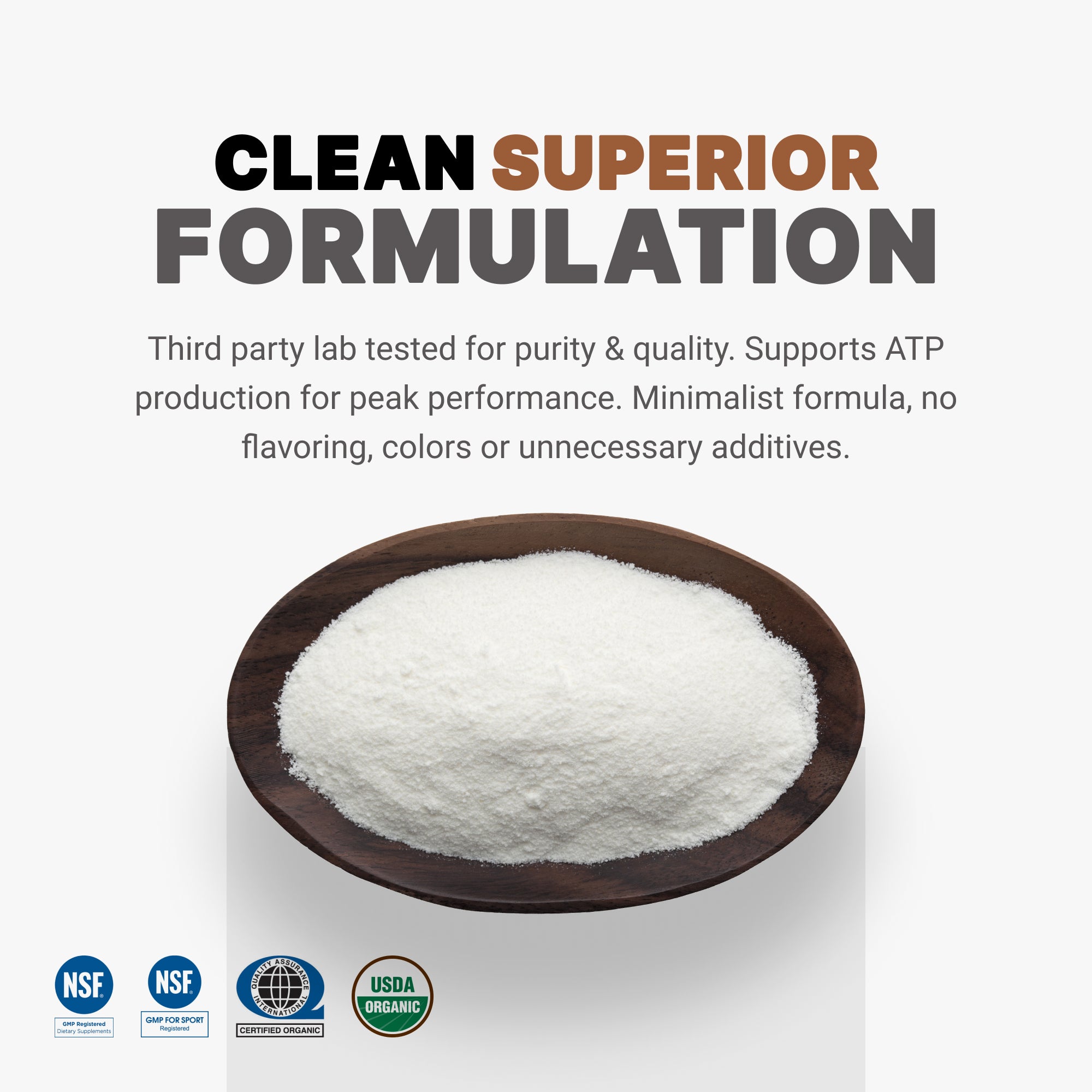Daily Creatine Monohydrate Formula